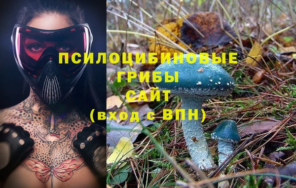 МДПВ Киренск