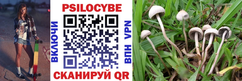 Галлюциногенные грибы Cubensis  Арзамас 
